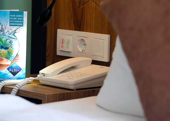 ホテル Club Big Blue アランヤ